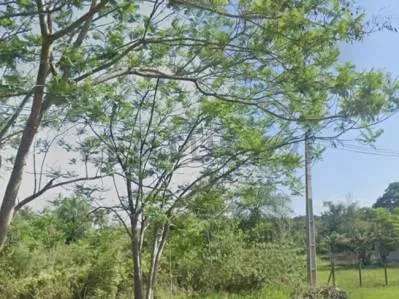 Terreno de 1.400m² à Venda em Sol Naciente, Cidade de Arroyo Pora-Sub Urbano