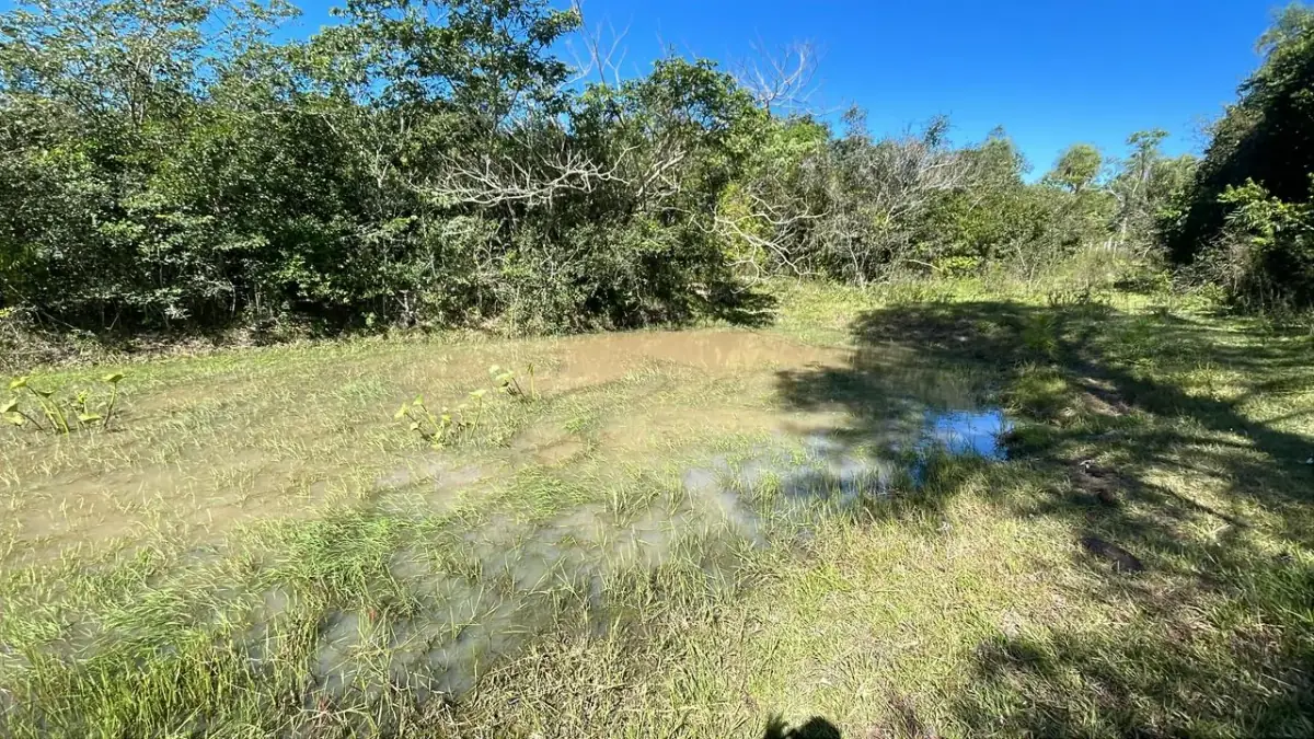 10-Hectare 24.7-acre flat terrain Farm in San José de los Arroyos - Image 10