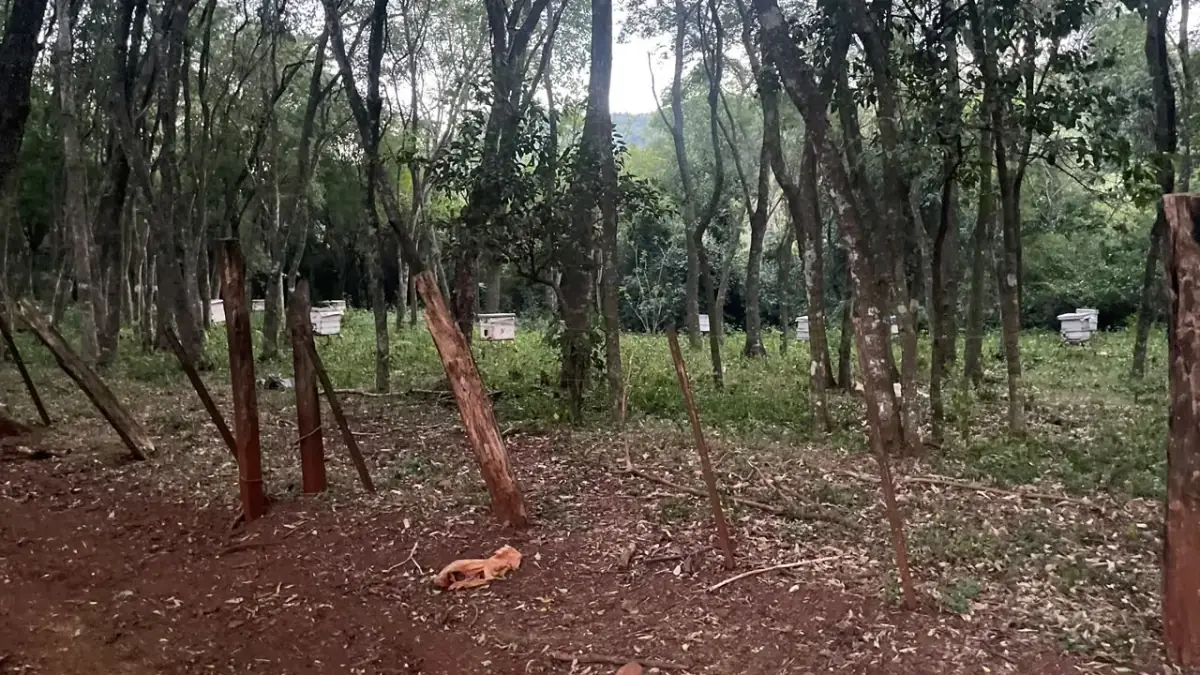 43 Hectares Farm for Sale in Paraguay with Natural Spring and Creek - Image 10