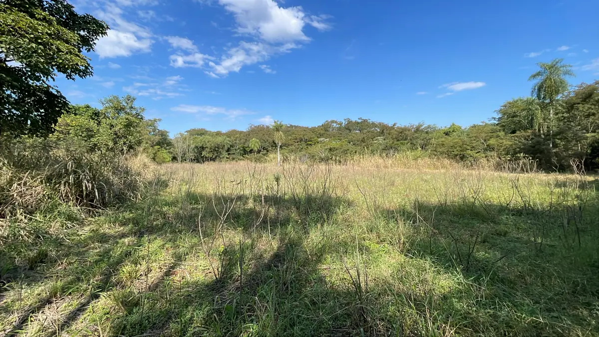 3-Hectare 7.4-acre Farm with Pasture & Forest in Caraguatay - Image 5