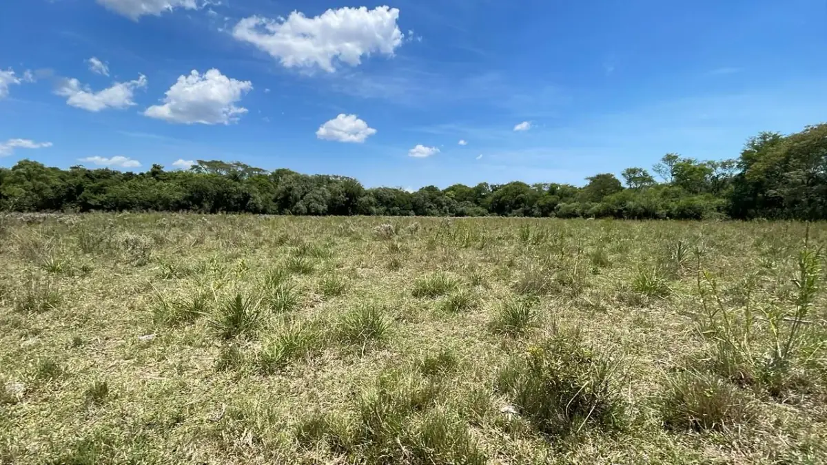 17,7 ha 44-acre farm with two streams & pond | 2 arroyos en Sapucai - Image 11
