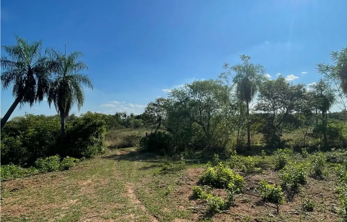 VENDO HERMOSA PROPIEDAD EN EMBOSCADA 20 hectareas A 3 km de la ruta - Image 10