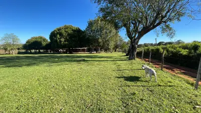 Casa y 5 ha con arroyo en San José de los Arroyos | 12-acre homestead