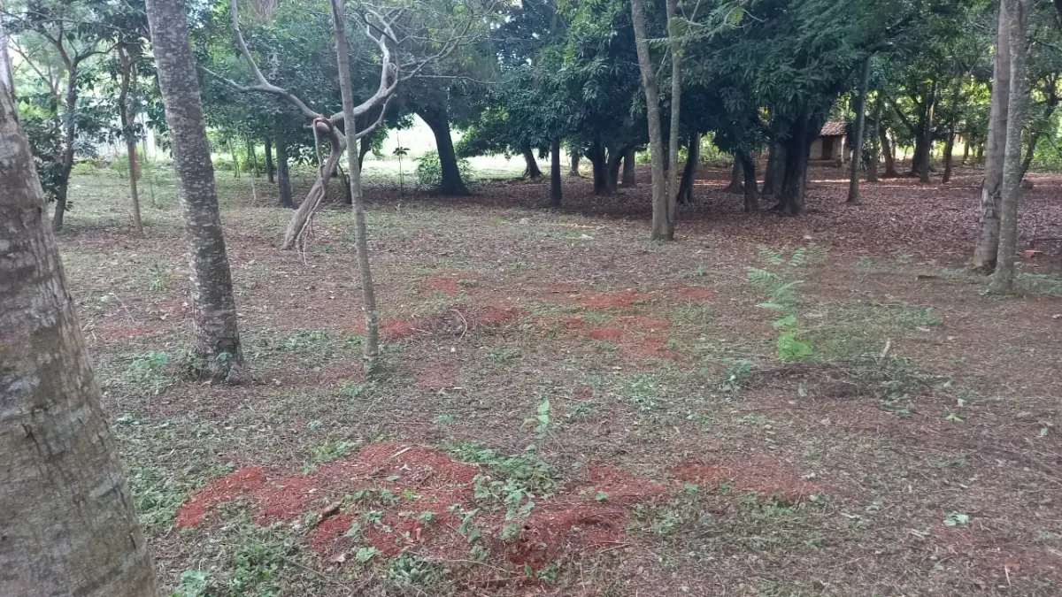 Vendo terreno en Itaugua: 6.134 m2 A 5 minutos del centro de la ciudad - Image 10