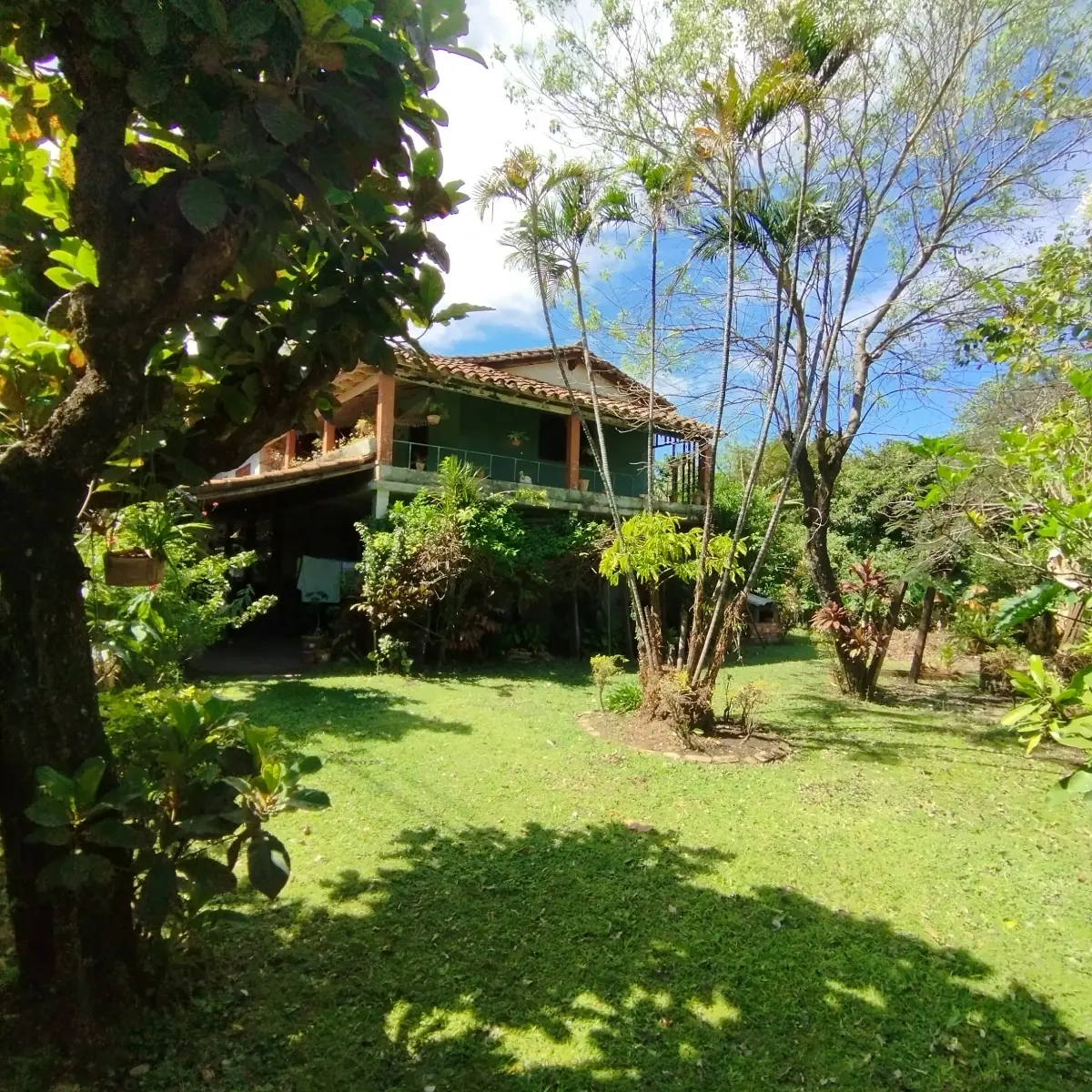 Terreno de 1.065m² en Venta en Zárate Isla, Luque - Image 7