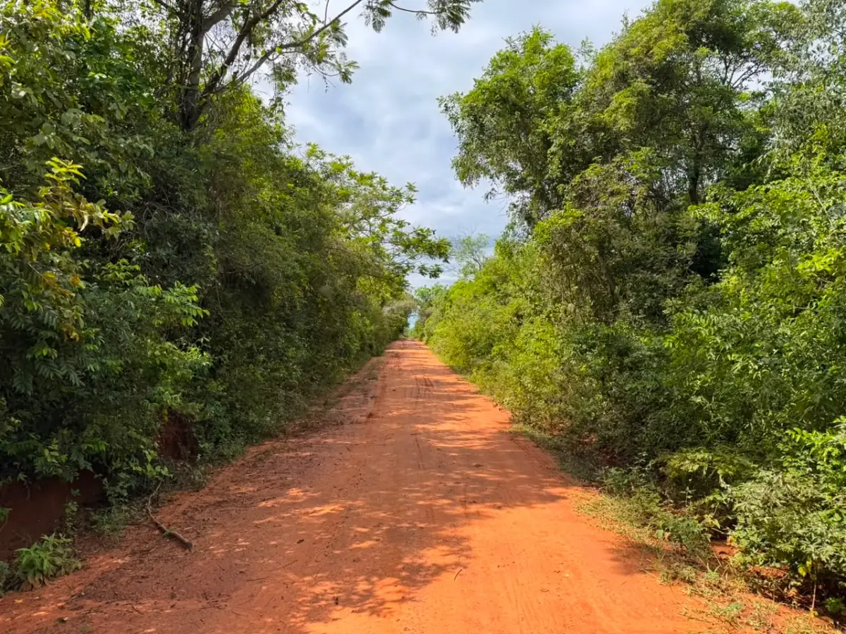 6 Hectareas en Carapeguá – Ideal Country Land (Crypto & USDT Accepted) - Image 3