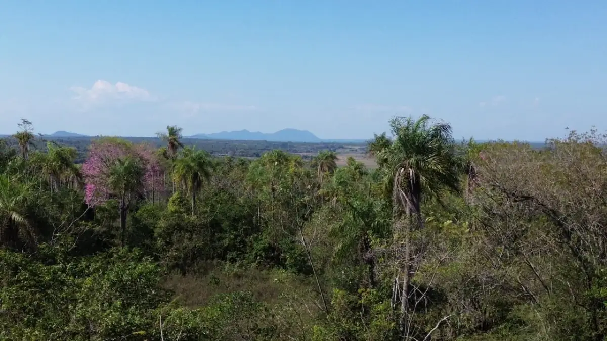 6 Hectareas en Carapeguá – Ideal Country Land (Crypto & USDT Accepted) - Image 4