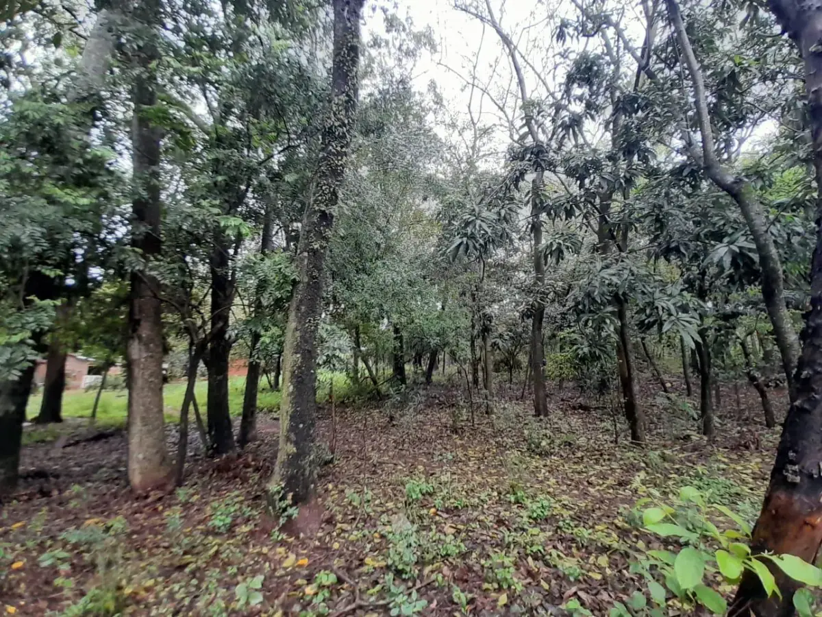 1m² Lot for Sale in Corazón de Jesús, San Bernardino - Image 3