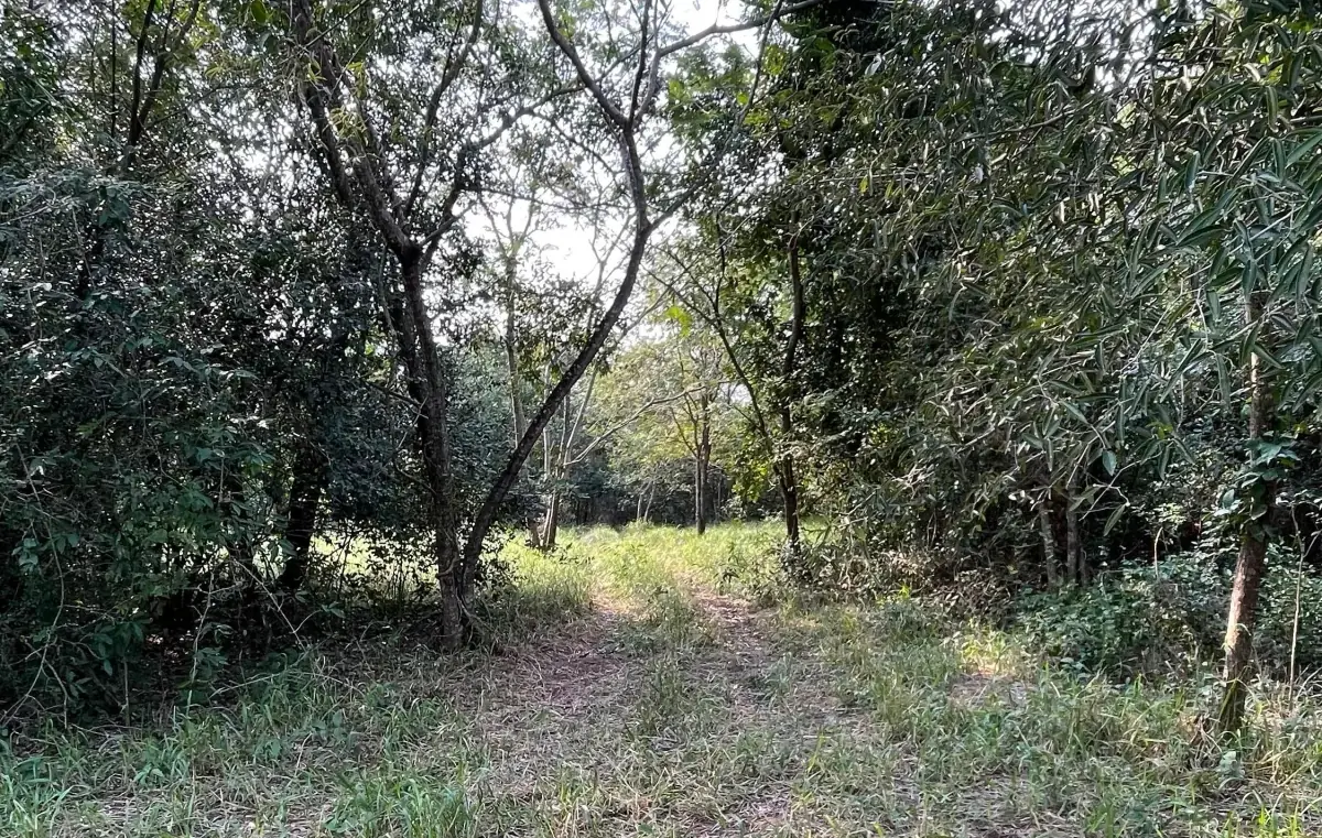 Vendo 5 hectáreas en Arroyos y Esteros 🤩 📍Zona San Antonio - Image 10