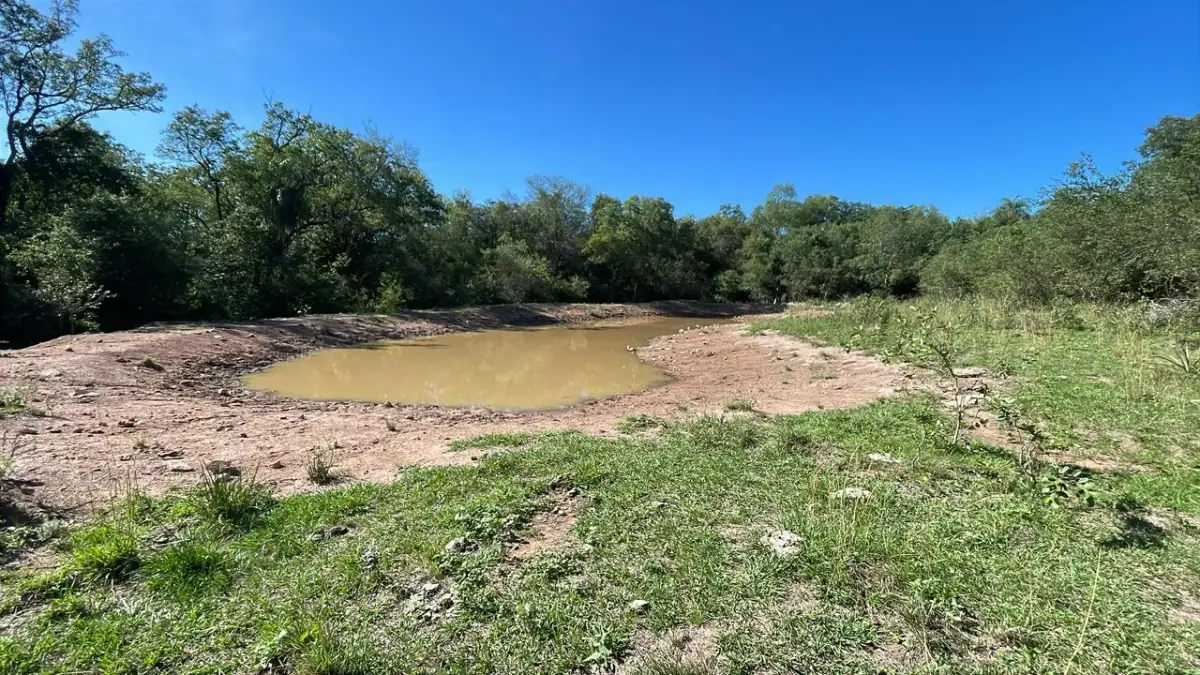 114hectare 282acre cattle ranch with a stream in Caapucu, Paraguari - Image 14
