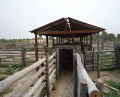 Land for Sale in Maria Auxiliadora, Fuerte Olimpo