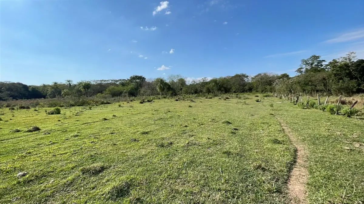 Vendo propiedad de 22 hectáreas en Tobati ⛰️🪵🧱🌱 - Image 7