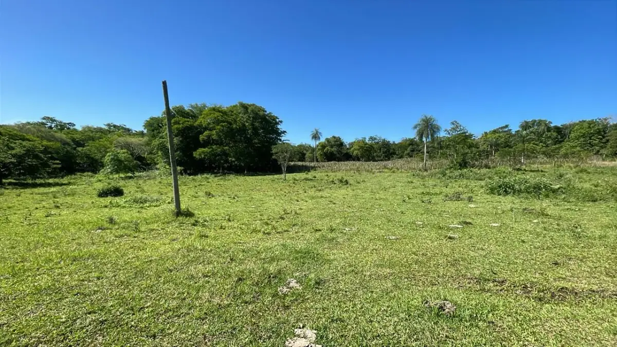 Campo de 8,9 ha en Caballero | 22-acre farm 2 hours from Asunción - Image 11