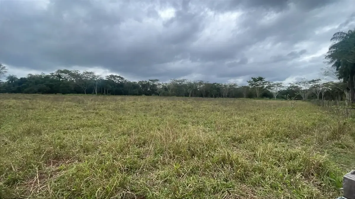 6.5-Hectare 16-acre Farm / Land for Sale in Ybycuí - Image 14