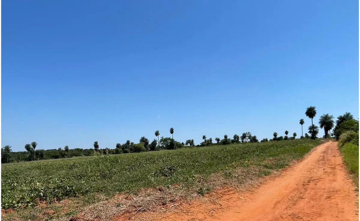 Vendo propiedad de 5,25 hectáreas en Arroyos y Esteros