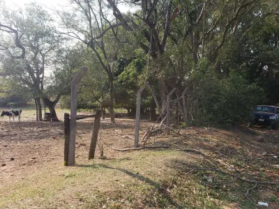 13,436m² Lot for Sale in San Lorenzo