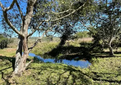 Vendo 12 hectáreas en Piribebuy con cerro y naciente