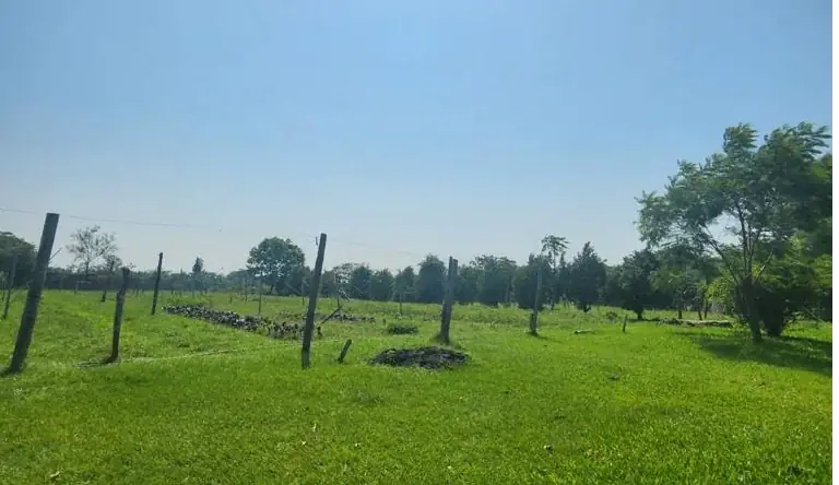 Vendo 5,5 hectareas en Caraguatay Fulgencio Yegros A 1000m del asfalto