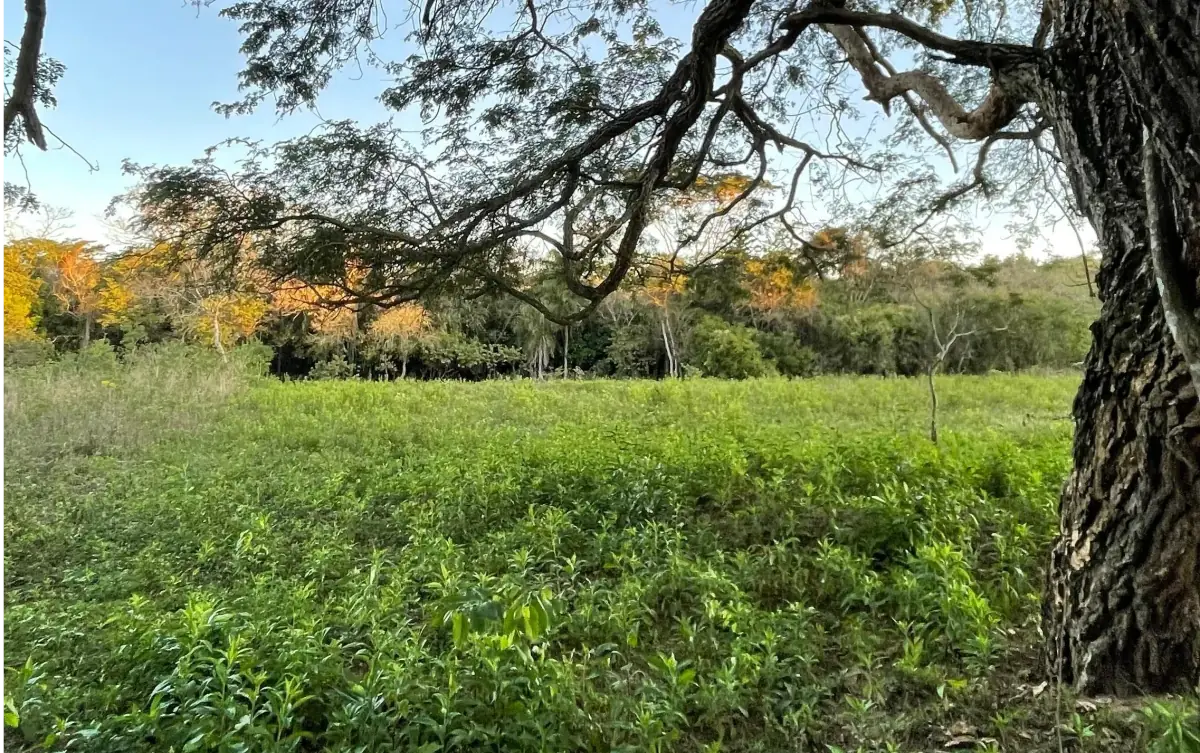 Propiedad de 7 hectáreas en Atyra 🍃🌳☀️ con cascada - Image 9
