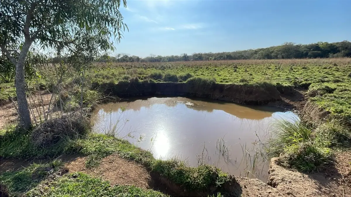 Vendo propiedad de 22 hectáreas en Tobati ⛰️🪵🧱🌱 - Image 13
