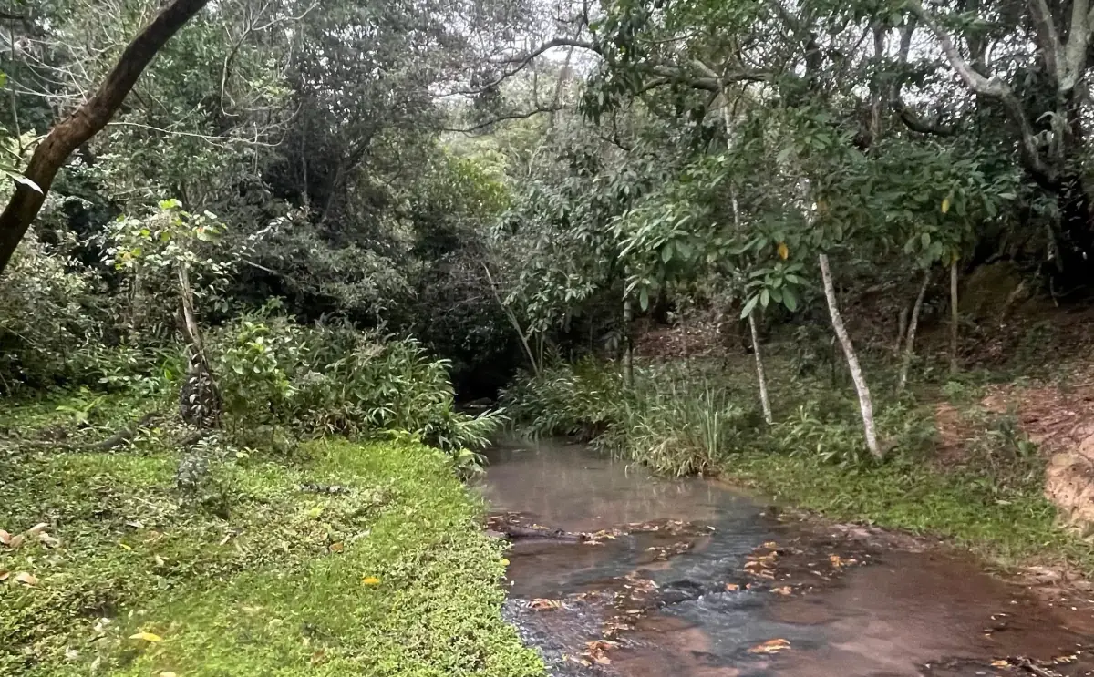 Propiedad de 7 hectáreas en Atyra 🍃🌳☀️ con cascada - Image 15