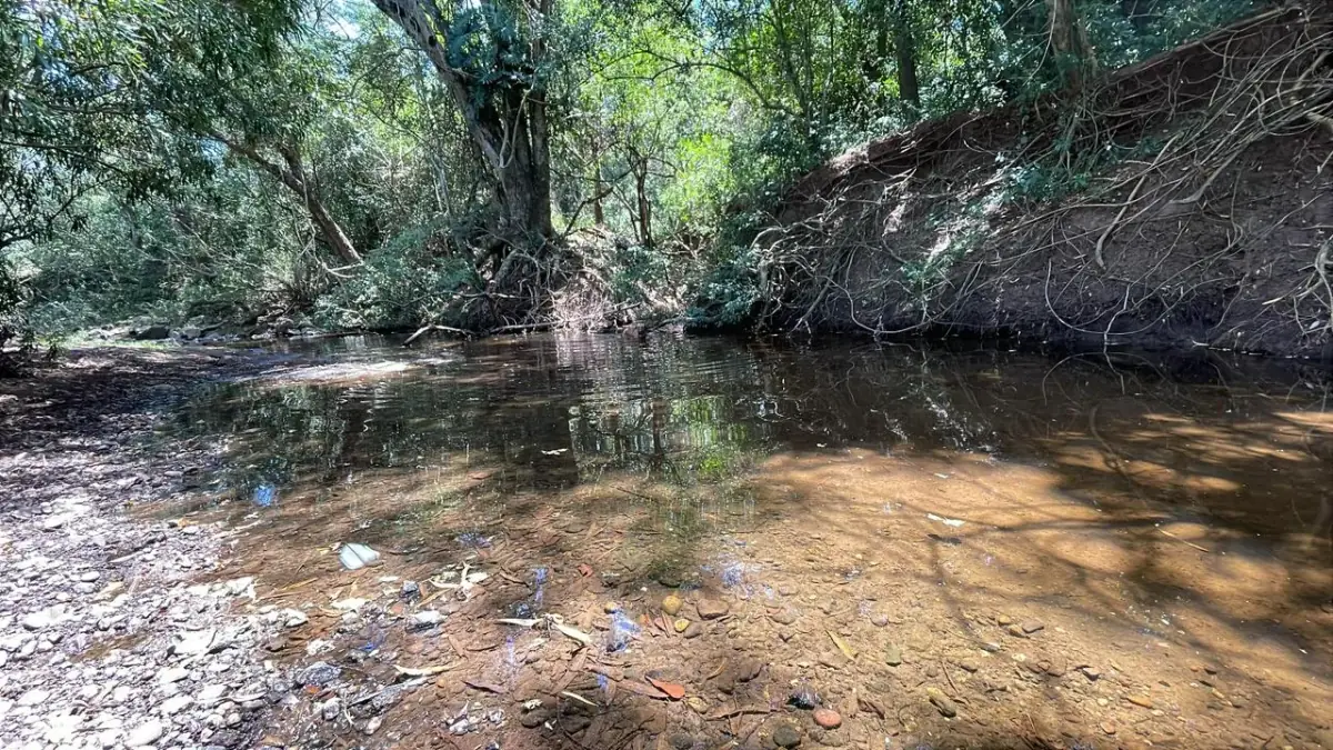 17,7 ha 44-acre farm with two streams & pond | 2 arroyos en Sapucai - Image 2