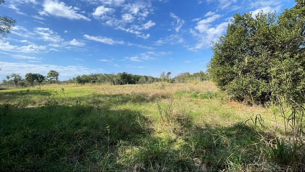 3-Hectare 7.4-acre Farm with Pasture & Forest in Caraguatay - Image 6
