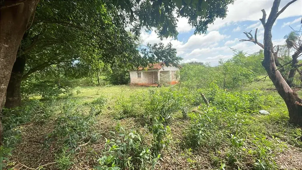 12.6-Hectare 31.1-acre Farm with House in Carapeguá - Image 2