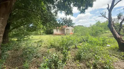 12.6-Hectare 31.1-acre Farm with House in Carapeguá