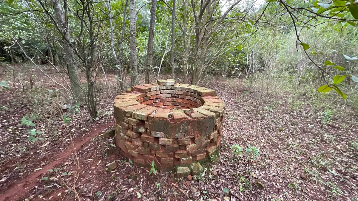 Vendo 9 hectáreas Quiindy a 2,5 km de la ruta 1 - Image 15