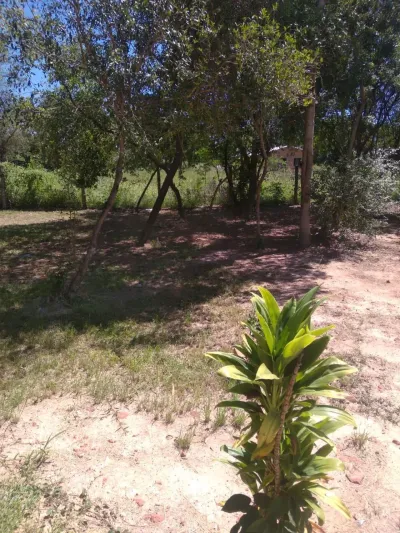 390m² Lot for Sale on Marista Street, Coronel Oviedo