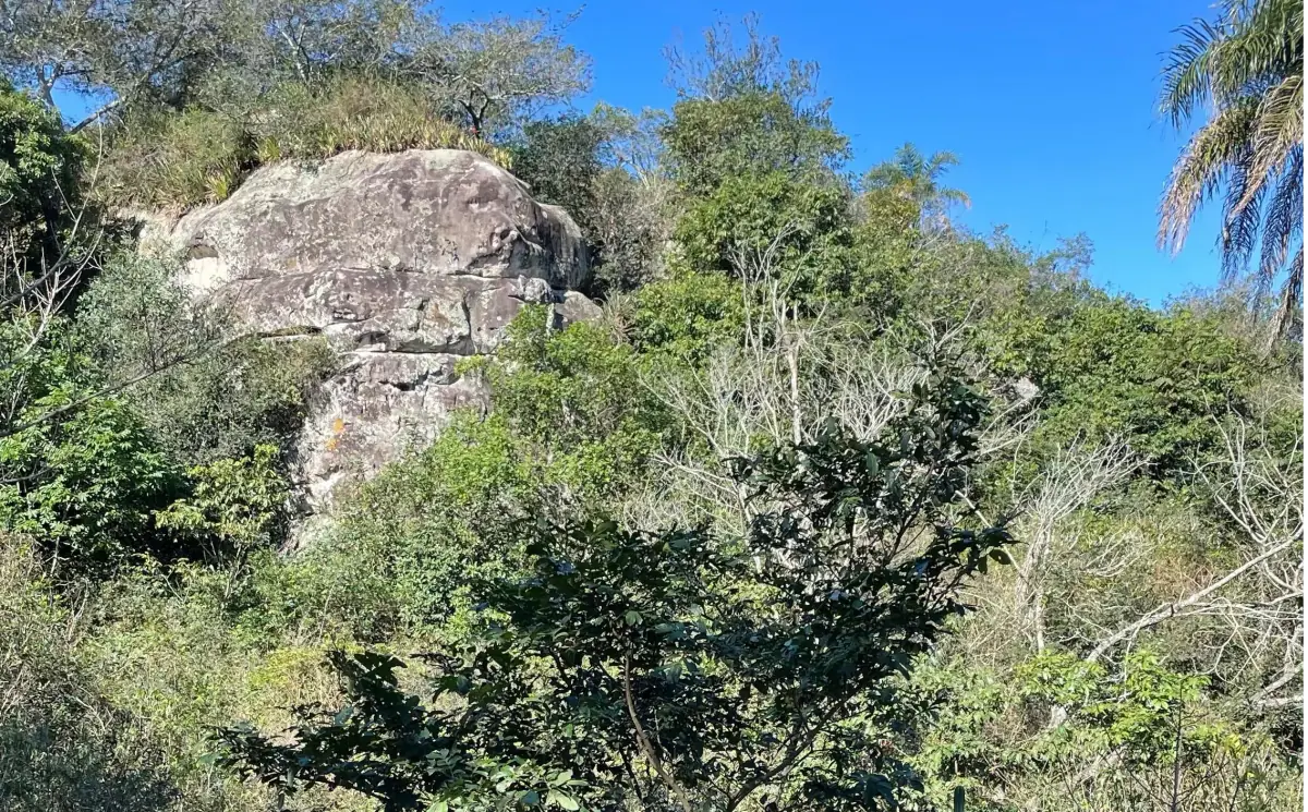 Vendo 12 hectáreas en Piribebuy con cerro y naciente - Image 9