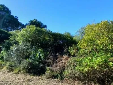 Terreno de 413m² en Venta en San Antonio, San Antonio