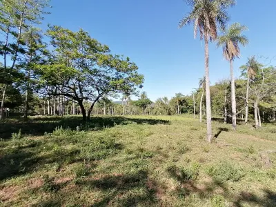 Terreno à Venda em Caacupé