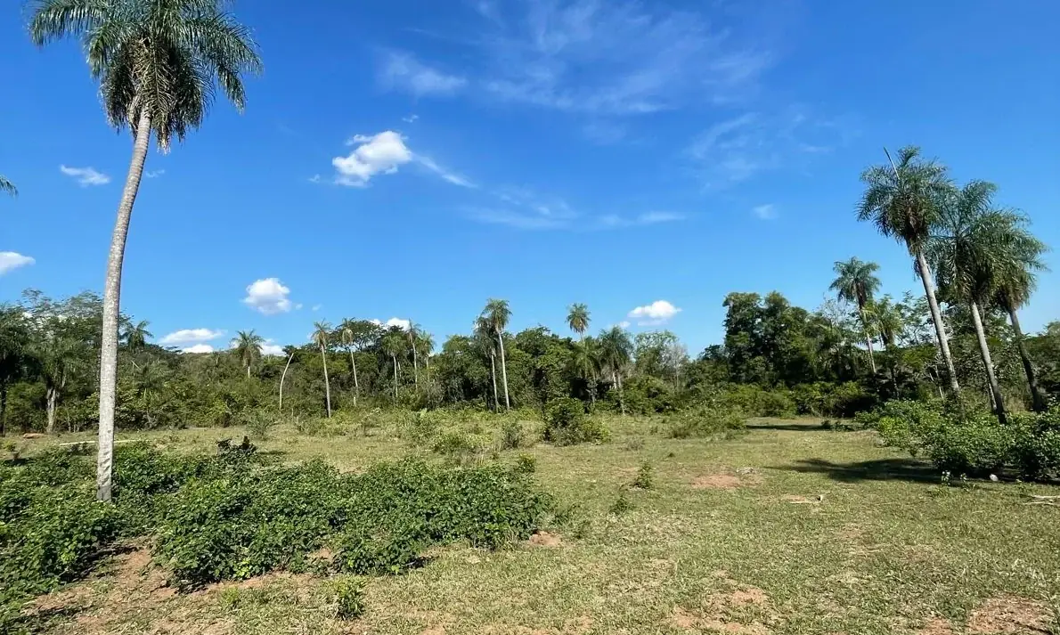 VENDO HERMOSA PROPIEDAD EN EMBOSCADA 20 hectareas A 3 km de la ruta - Image 11