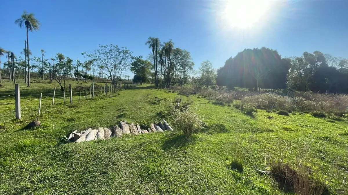Vendo 4,5 hectáreas en Piribebuy 🤩🌳 con manantial, arroyo y pileta - Image 4