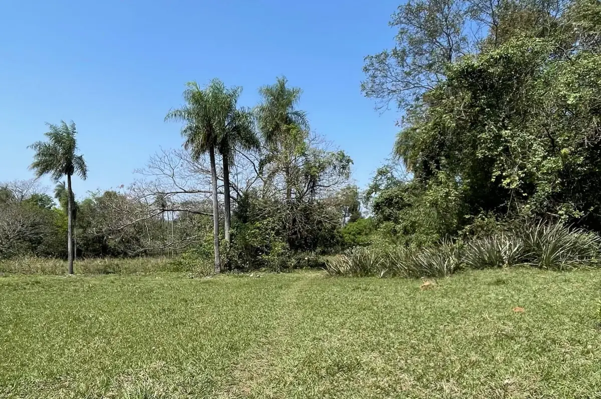 8.6 Hectares/21.2 acres Caacupé Land Agriculture & Fish Farming - Image 8
