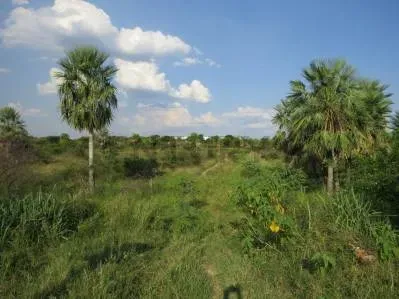 1,054m² Land for Sale in Limpio