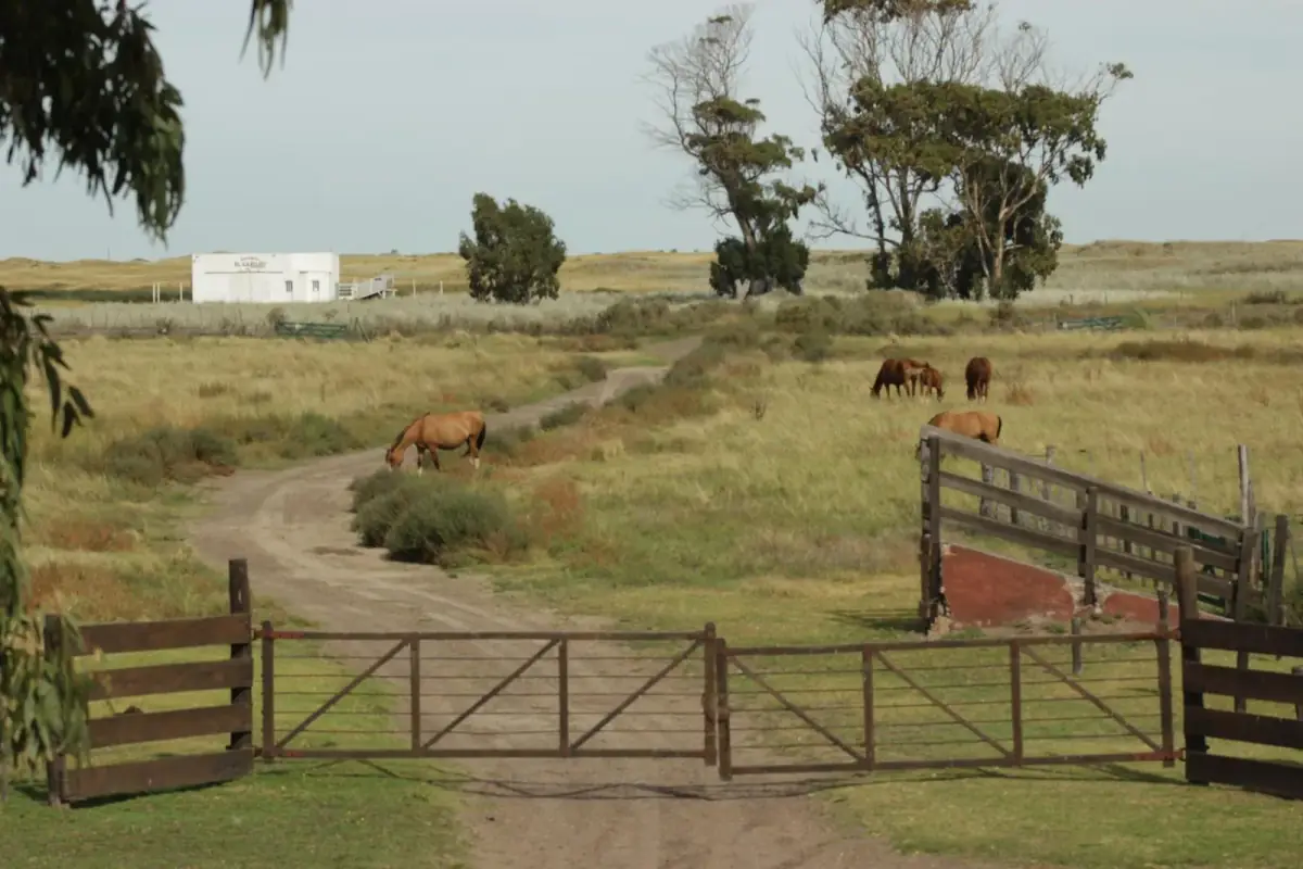 Terreno de 1,383m² en Venta en Los Pocitos - Image 15