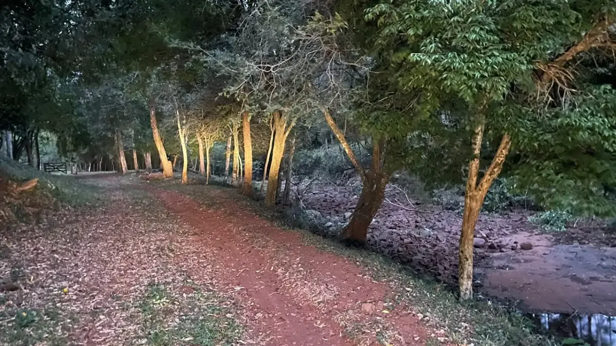 43 Hectares Farm for Sale in Paraguay with Natural Spring and Creek - Image 9