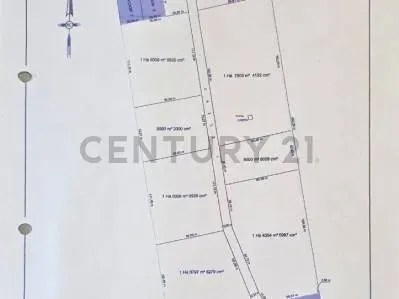 Terreno de 1,299m² en Venta en Areguá