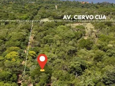 Terreno de 7,814m² en Venta en San Bernardino