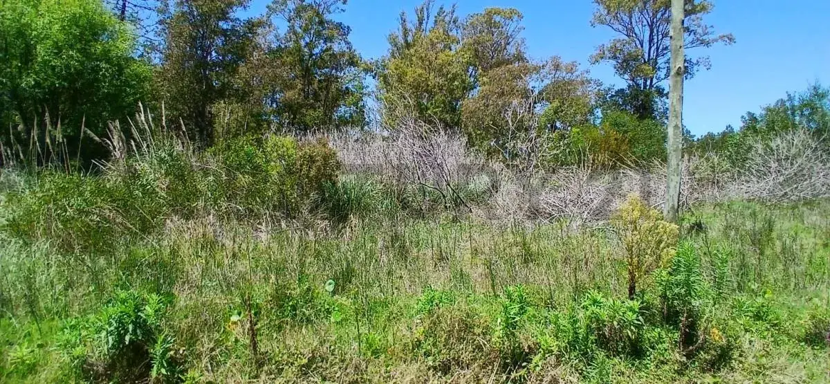 Terreno de 568m² en Venta en La Esmeralda