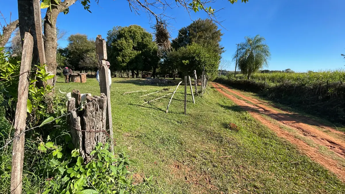 Casa y 5 ha con arroyo en San José de los Arroyos | 12-acre homestead - Image 10