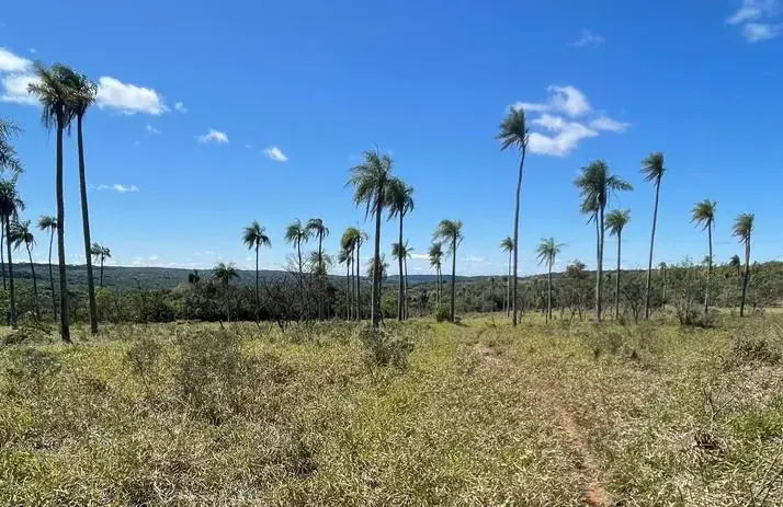 Campo 10 ha con vistas en Piribebuy | 25-acre land 1h45 from Asunción - Image 11