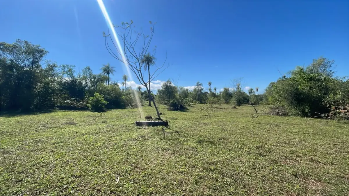 6 Hectareas en Carapeguá – Ideal Country Land (Crypto & USDT Accepted) - Image 9