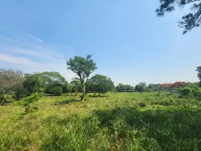 Vendo 5,5 hectareas en Caraguatay Fulgencio Yegros A 1000m del asfalto