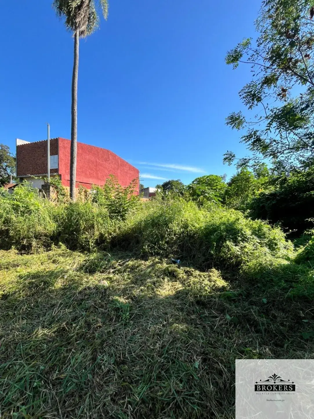 360m² Lot for Sale in Luque - Image 3