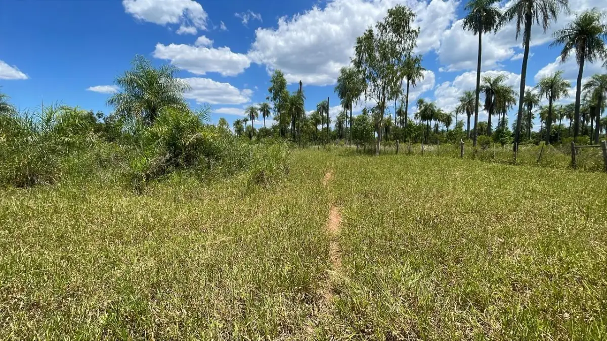 50-Hectare/123.5 Acres Piribebuy Livestock & Intensive Feedlot Farm - Image 14