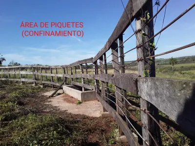 Terreno en Venta en Juan Emilio O'Leary